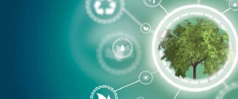 Sostenibilita_evidenza