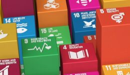Sustainable Development Goals Blocks-3D Rendered Illustration SD