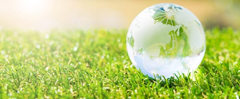 AdobeStock_101620384-2-scaled