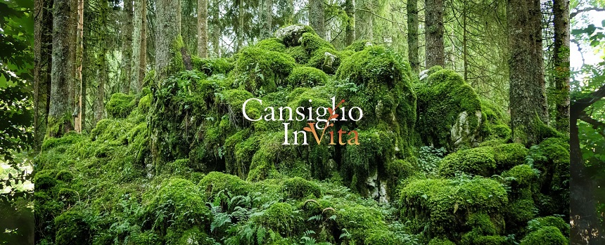 Cansiglio inVita news