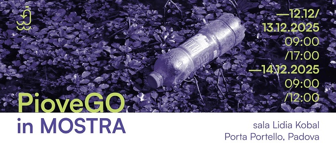 Locandina mostra PioveGO