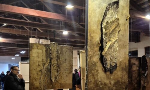 Mostra Silvia Canton 2